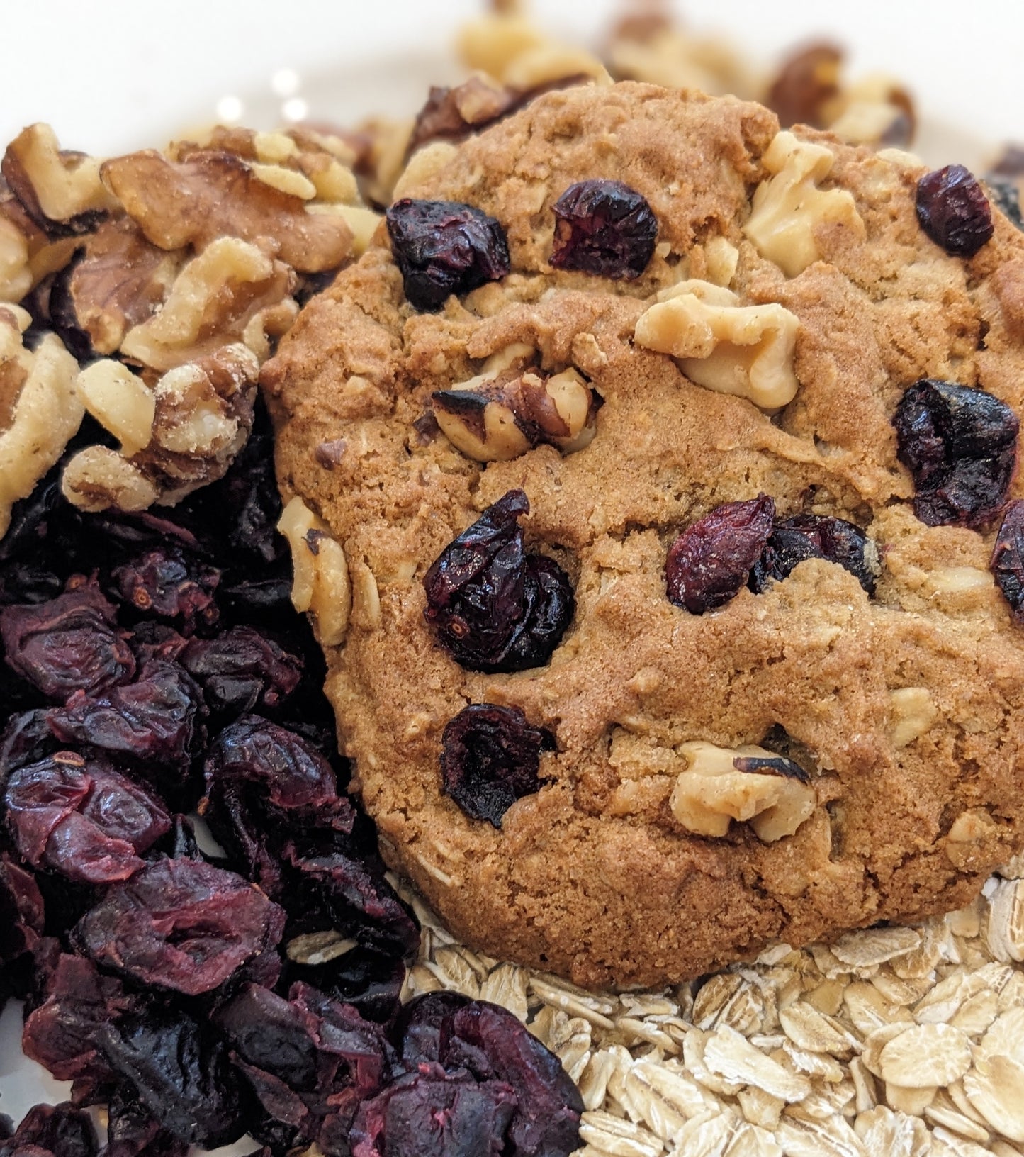 Oatmeal Cranberry Walnut